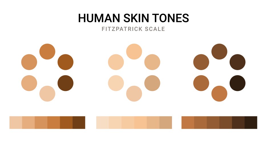 skin tone color scale chart brown palette vector