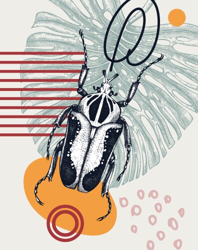 Goliath Beetle Sketch Vector Image
