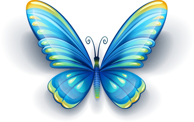 blue butterfly with color vector image