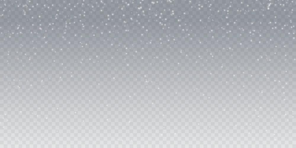 Realistic falling snow Royalty Free Vector Image
