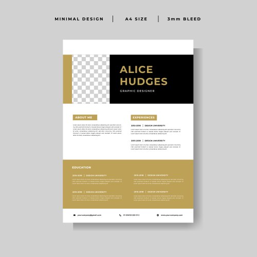 Minimalist curriculum vitae design template Vector Image
