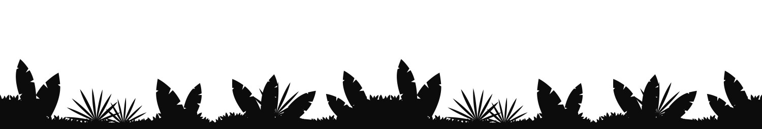 Colored Tropical Rainforest Jungle Background Vector Image