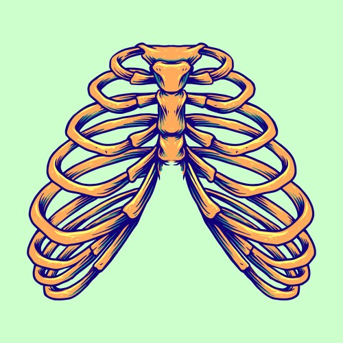 Ribcage Vector Images (over 430)