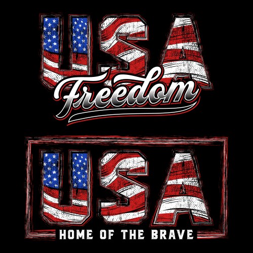 USA Flag Set - Patriotic Design Vector Image