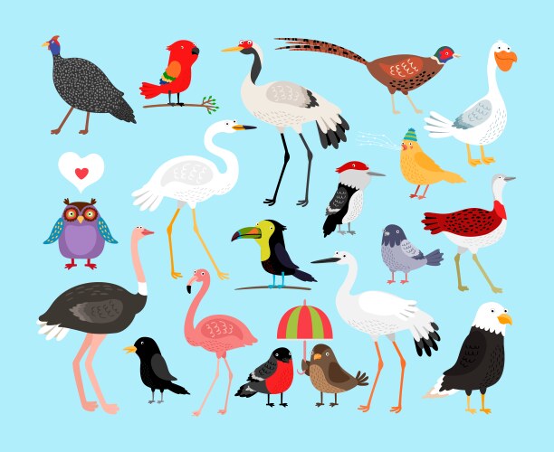 Cartoon birds Royalty Free Vector Image - VectorStock