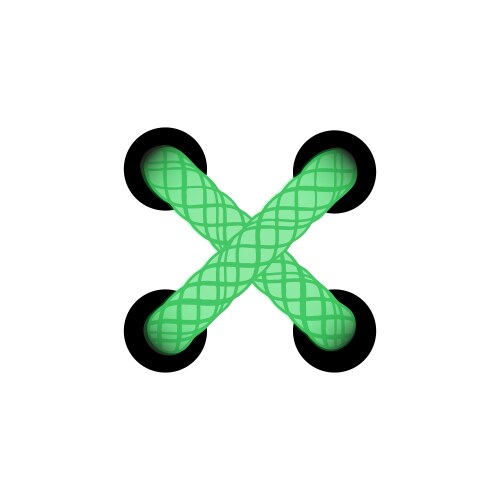 Template lace-up green cross lacing scheme Vector Image