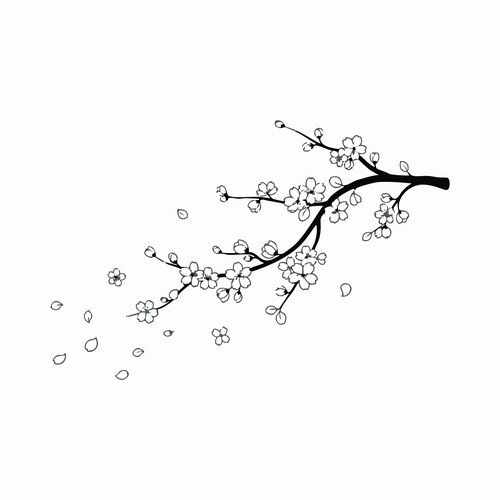 Elegant Cherry Blossom Branch Vector Image