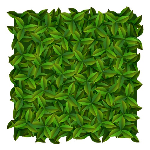 Green leaves texture Royalty Free Vector Image
