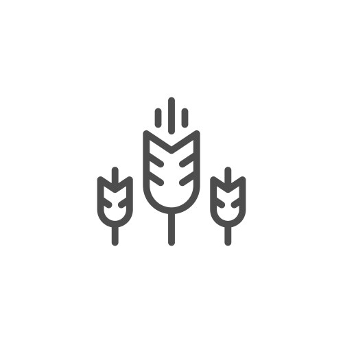 Wheat ears line outline icon Royalty Free Vector Image