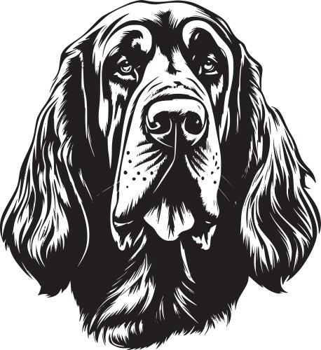 Bloodhound - minimalist and simple silhouette Vector Image
