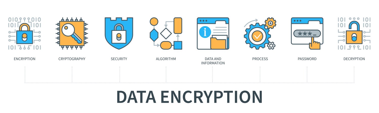 Data encryption infographics in minimal flat line vector image