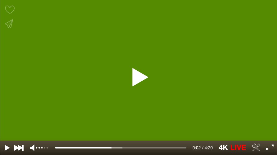 Video player window with menu and buttons panel vector image