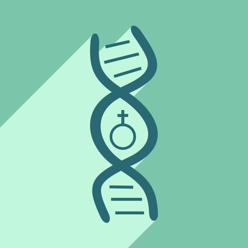 Flat with shadow icon and mobile application genes vector image