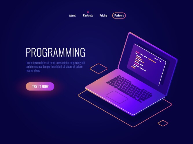 Programming and code writing isometric icon vector image
