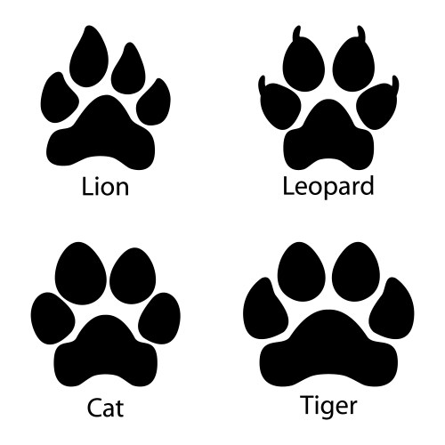 Big Cat Footprints Set Vector Image