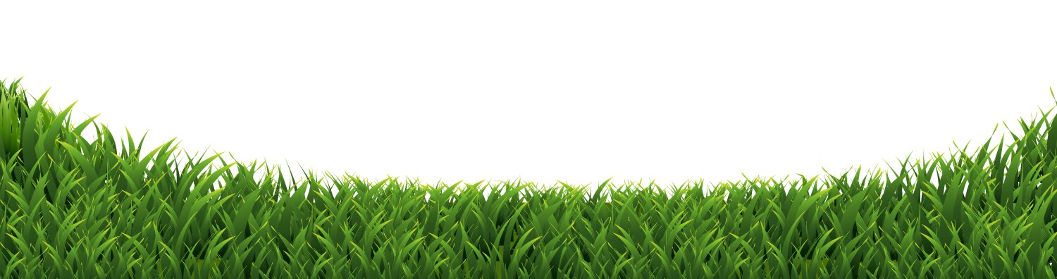 Nature background with grass Royalty Free Vector Image