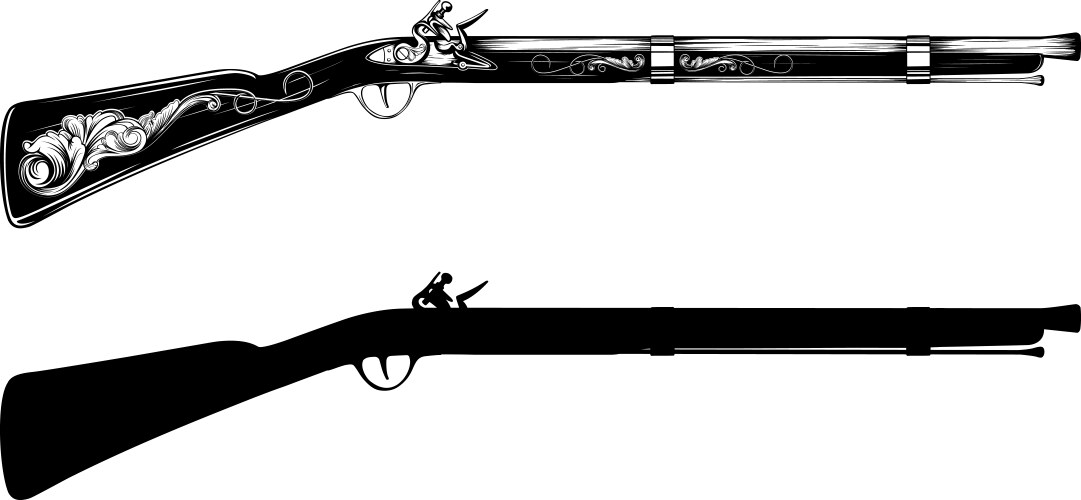 old flintlock rifle vector image vector image