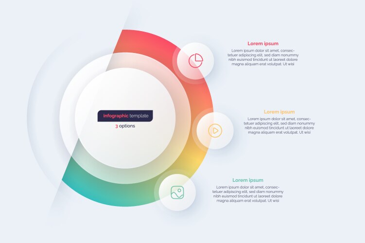 three option circle infographic design template vector image