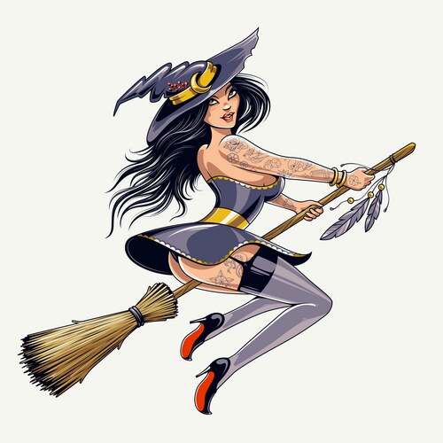 art of sexy witch on broomstick vector image