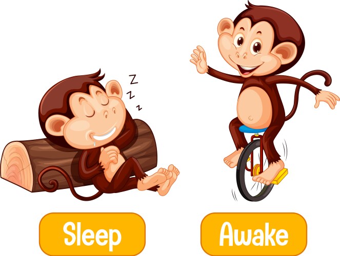 opposite words with sleep and awake vector