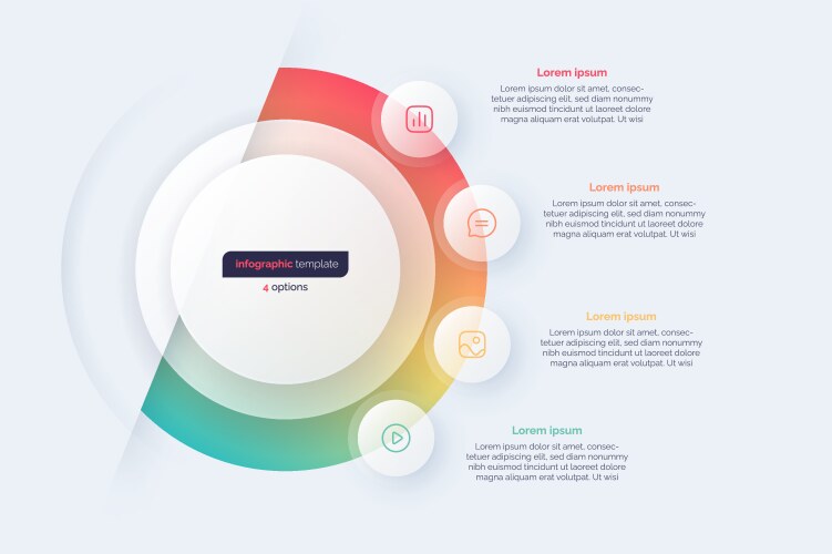 Four option circle infographic design template vector image