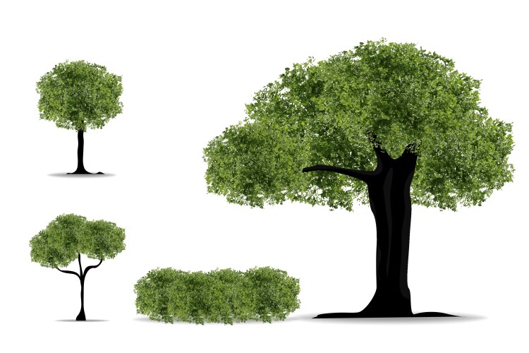 Realistic tree on white background eps10 vector image