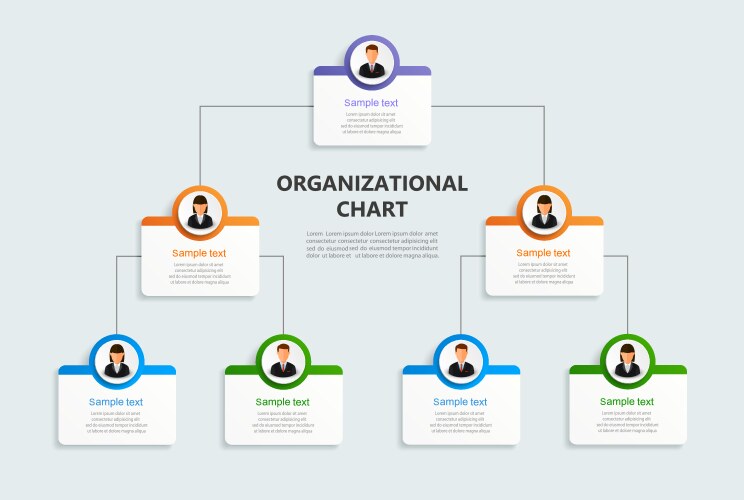 corporate organizational chart vector image