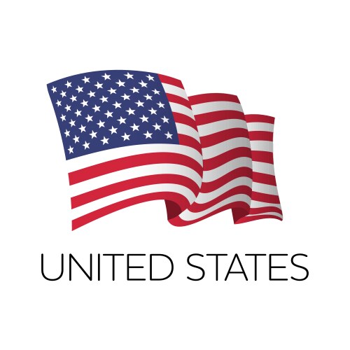United States Flag - Patriotic Symbol Vector Image