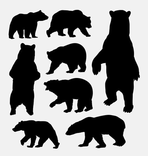 bear wild animal silhouettes vector