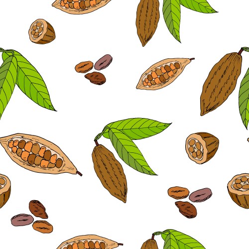 Cocoa bean and leaf seamless pattern vector image
