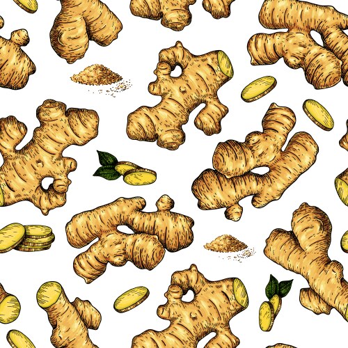 Ginger Root Pattern - Seamless Vector Image