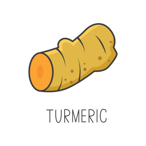 Turmeric Vector Images & Graphics for Commercial Use | VectorStock