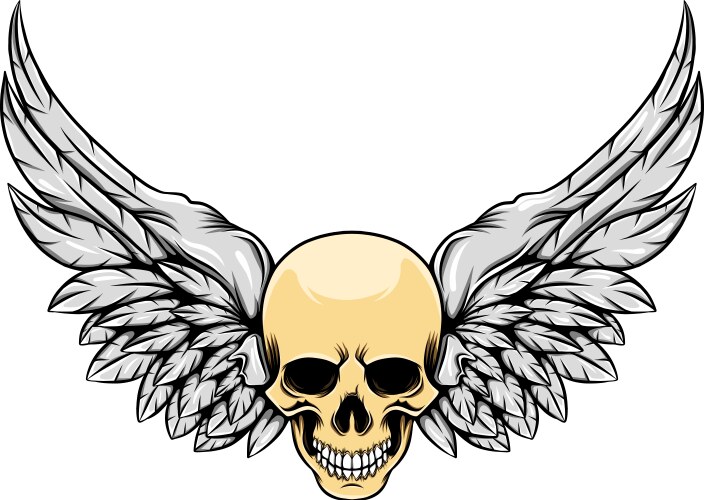 Glossy Skull with Angel Wings Vector Image