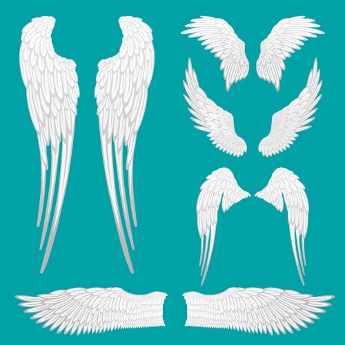 Angel Wings Set - White Feather Illustration Vector Image