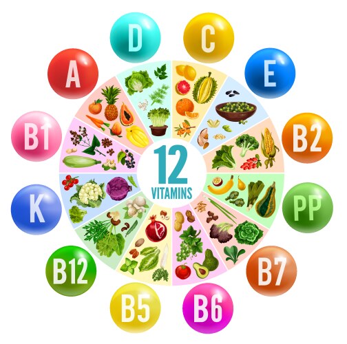 vitamin pill circle chart banner with healthy food vector