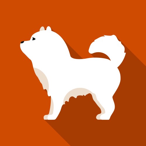 Chow-chow icon in flat style for web vector image