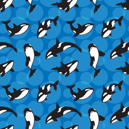 Seamless pattern cartoon grampus orca killer Vector Image