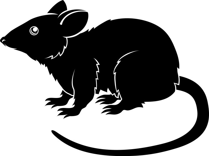 stylized rat vector image