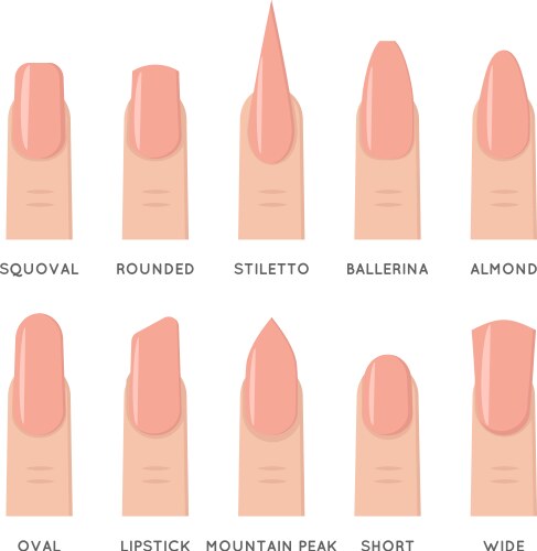 Natural fashion trend female nail manicure shape vector image