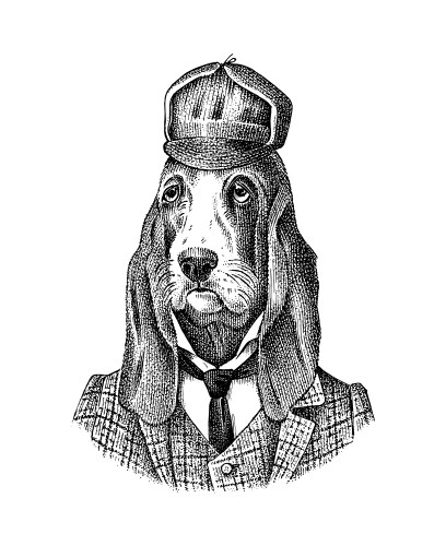 Dapper Bloodhound in Suit Vector Image