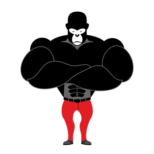 Gorilla bodybuilder strong black monkey with big Vector Image