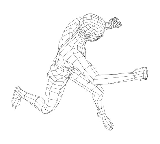 wireframe boxing man vector image