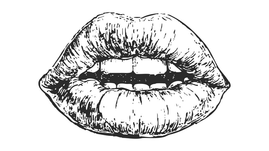 Detailed Lips Line Art Vector Image