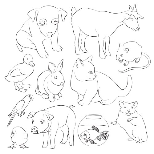 One line set australian animals koala Royalty Free Vector