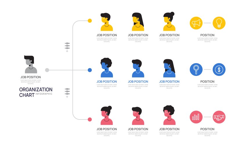 infographic template for organization chart vector