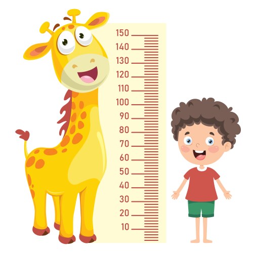 Child Height Chart - Measurement Tool vector image