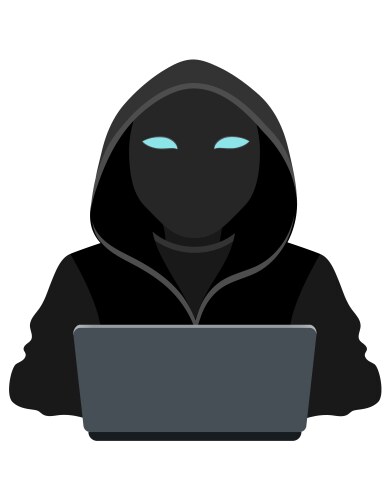 Hacker Programmer in Hooded Sweater vector image