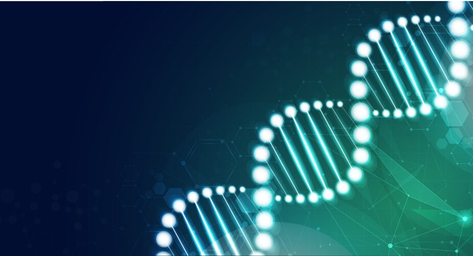 DNA Sequence Code Structure vektorbild