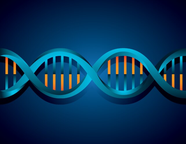 Dna design Royalty Free Vector Image - VectorStock