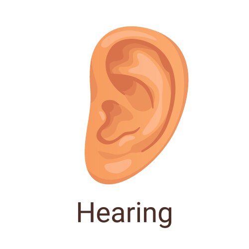 One of five senses - hearing vector image